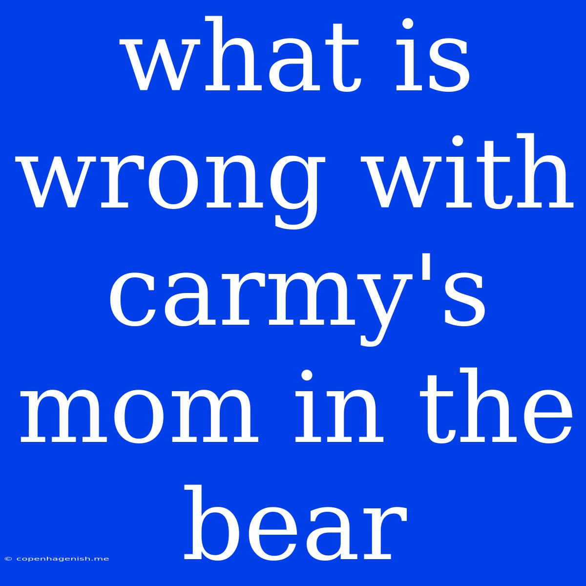 What Is Wrong With Carmy's Mom In The Bear