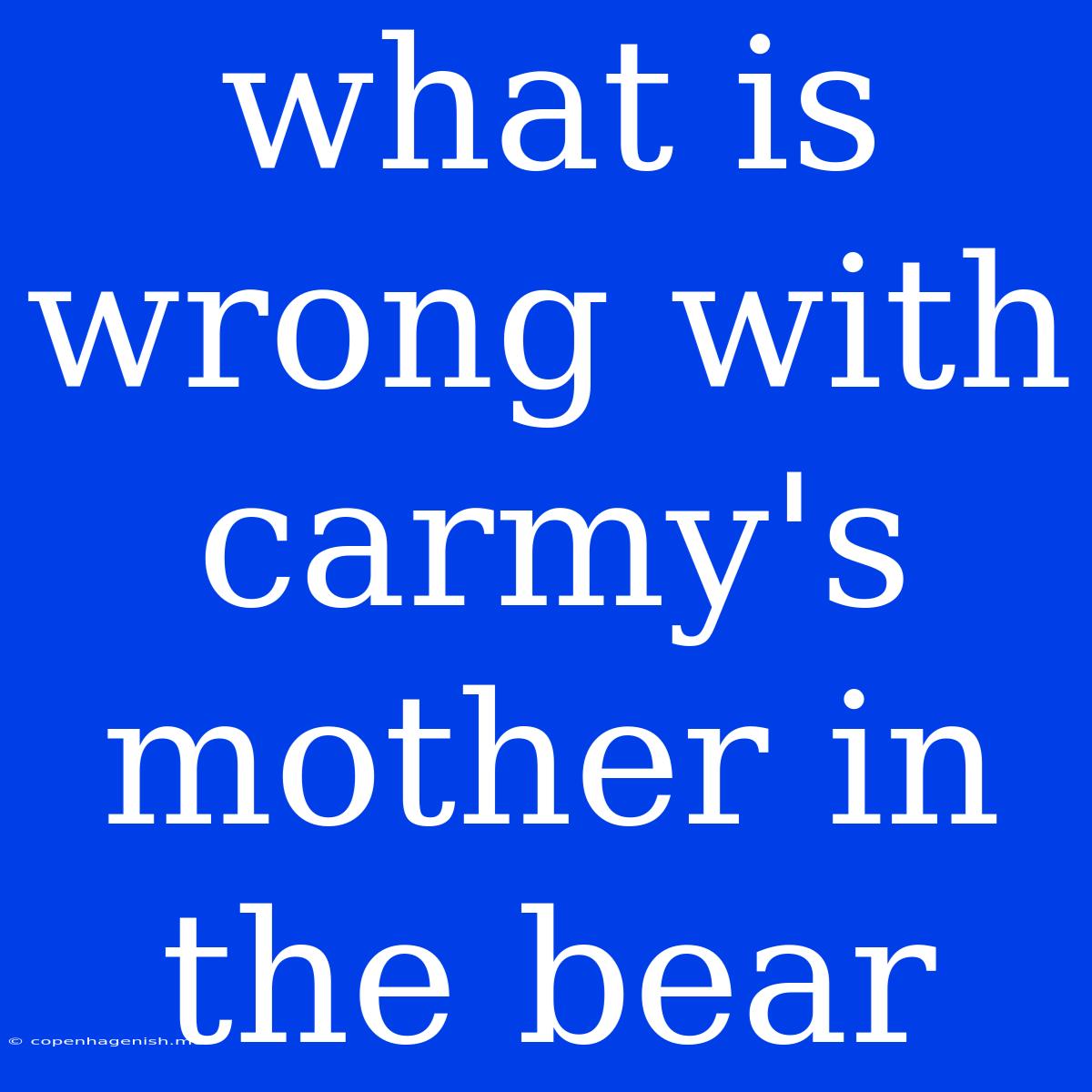 What Is Wrong With Carmy's Mother In The Bear