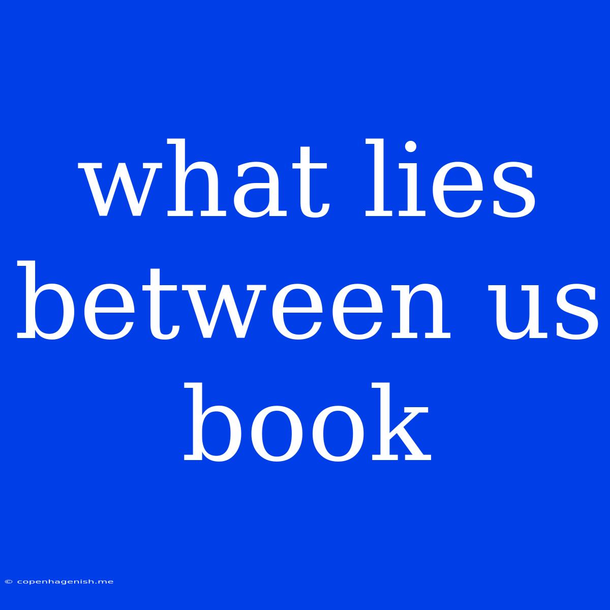 What Lies Between Us Book