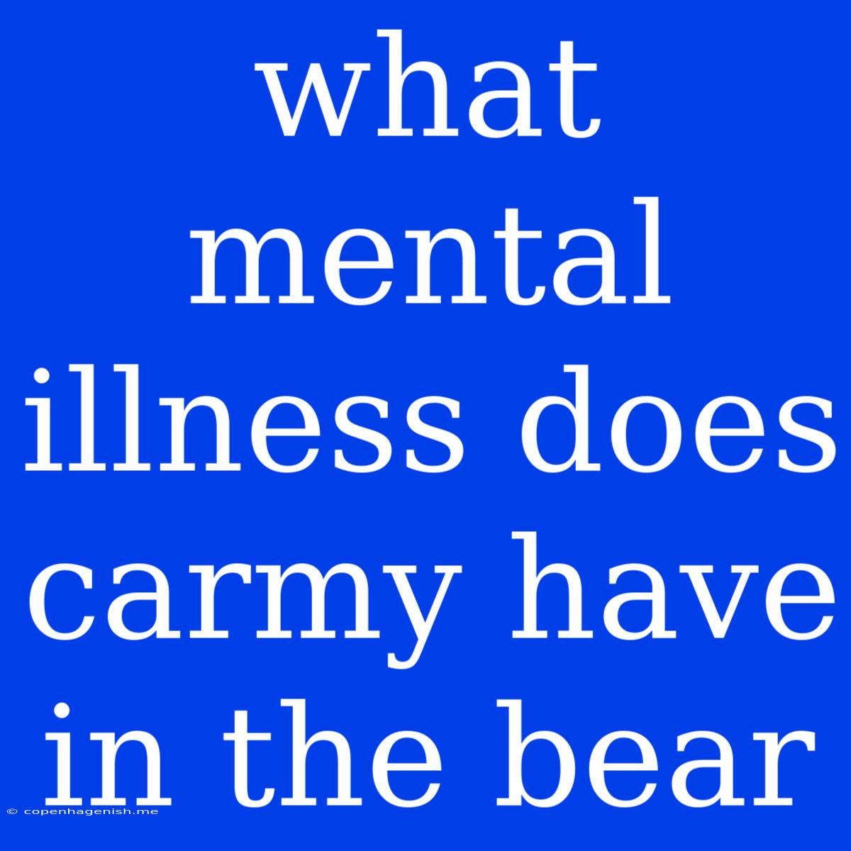 What Mental Illness Does Carmy Have In The Bear