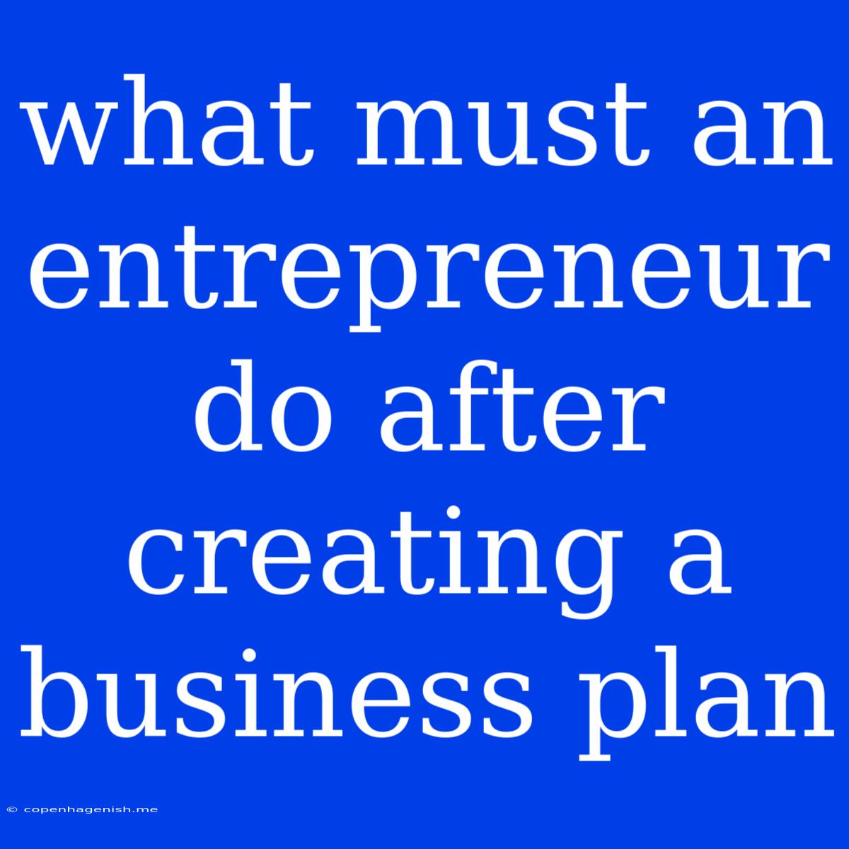 What Must An Entrepreneur Do After Creating A Business Plan