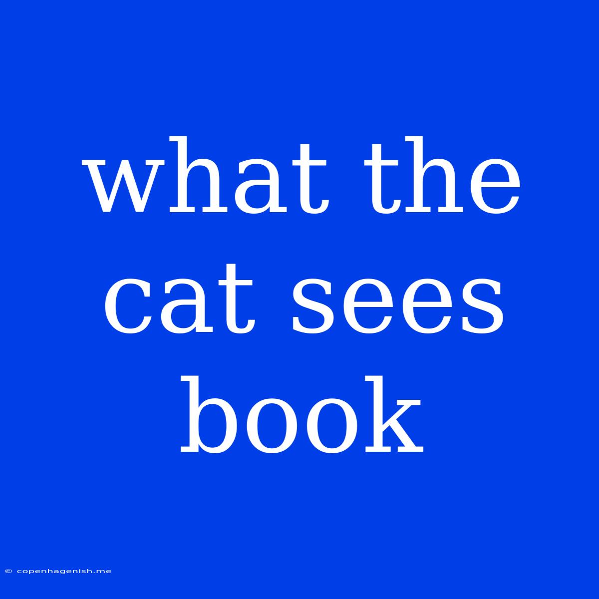 What The Cat Sees Book