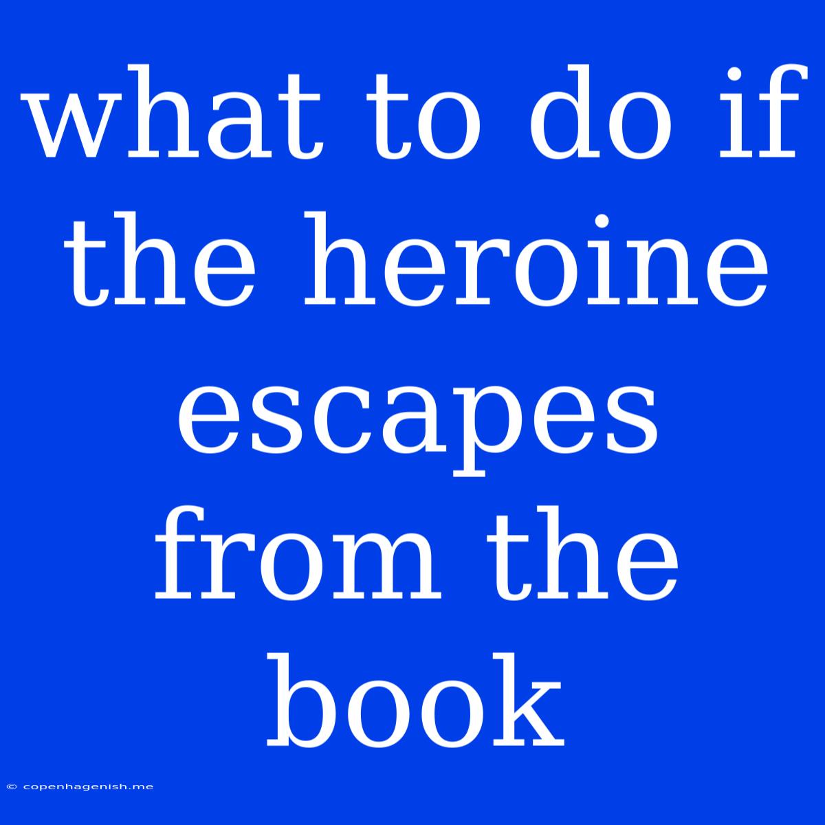 What To Do If The Heroine Escapes From The Book