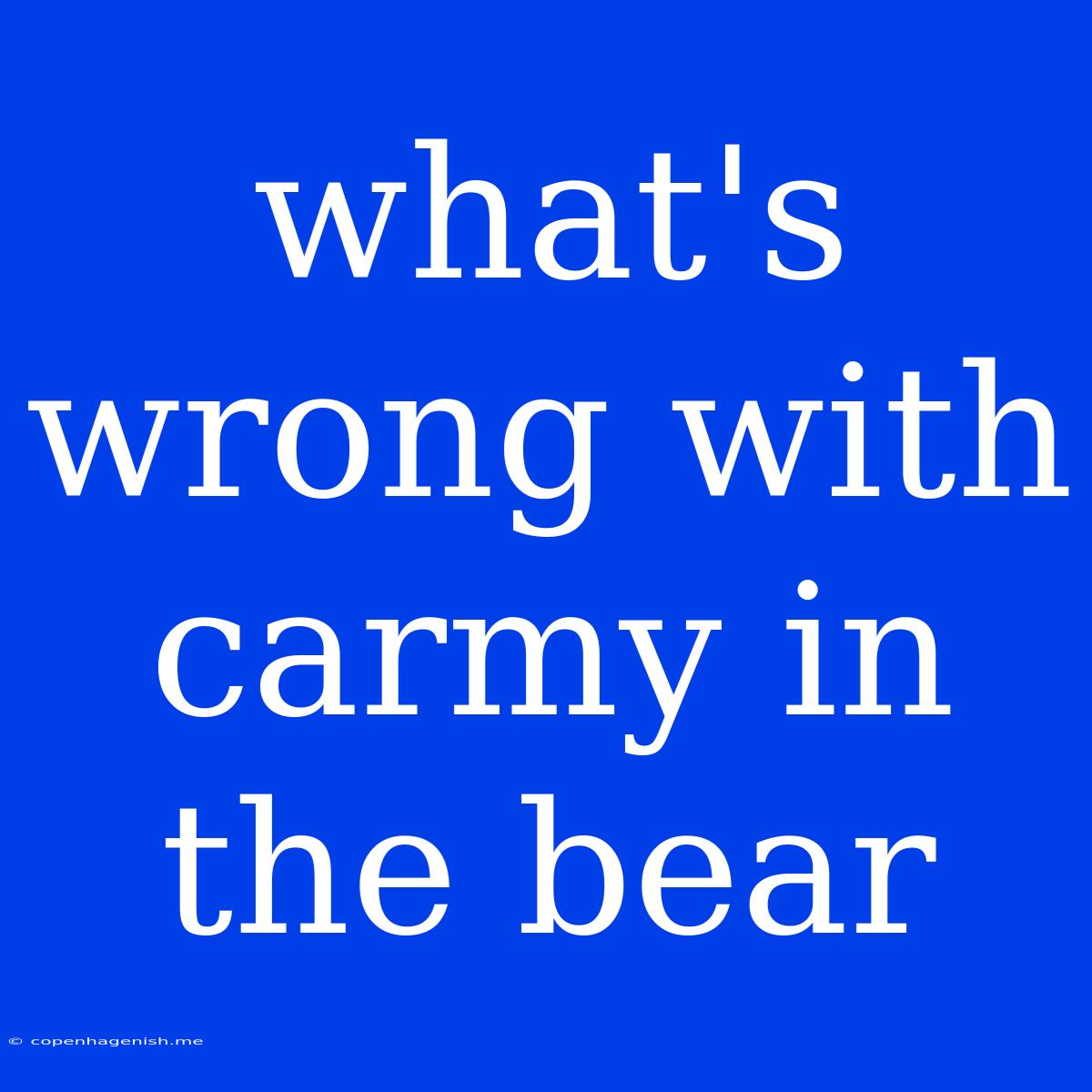 What's Wrong With Carmy In The Bear