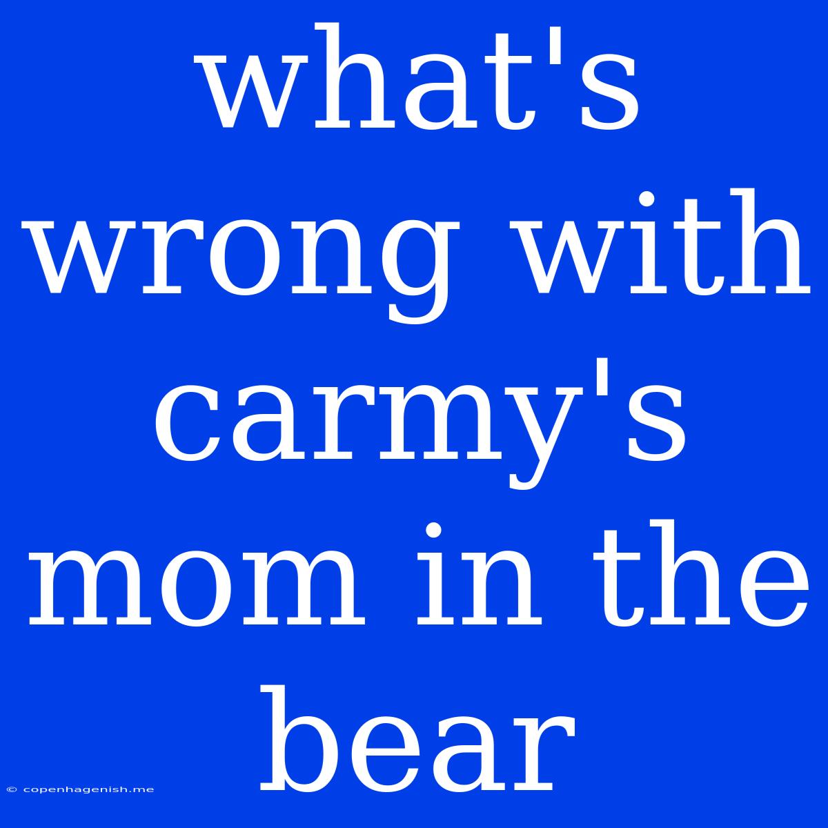 What's Wrong With Carmy's Mom In The Bear