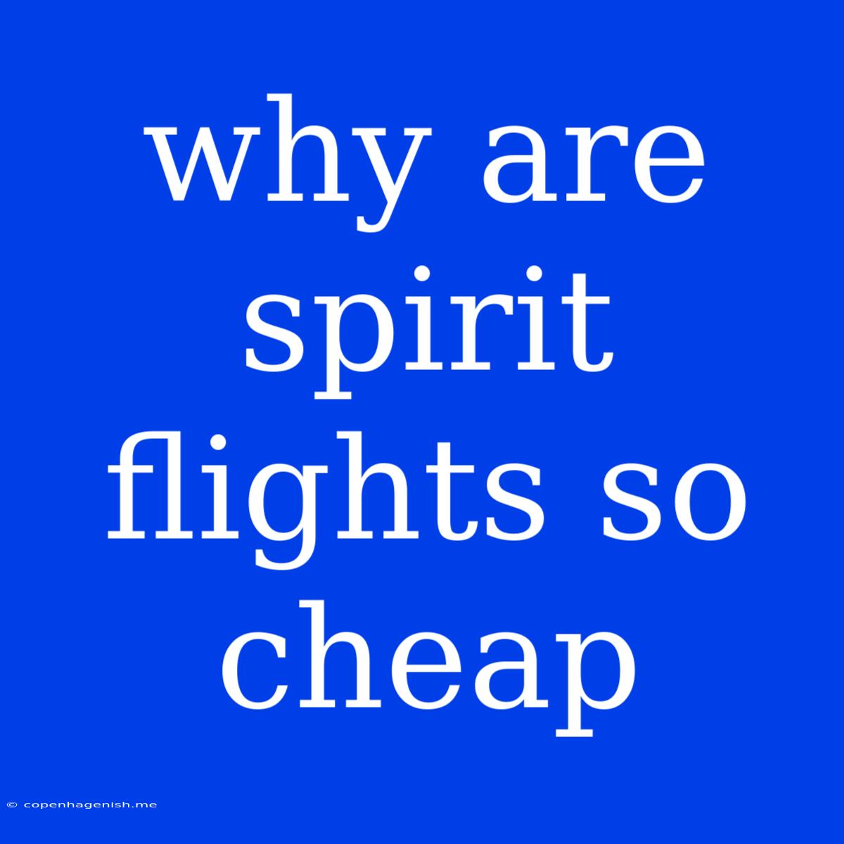 Why Are Spirit Flights So Cheap