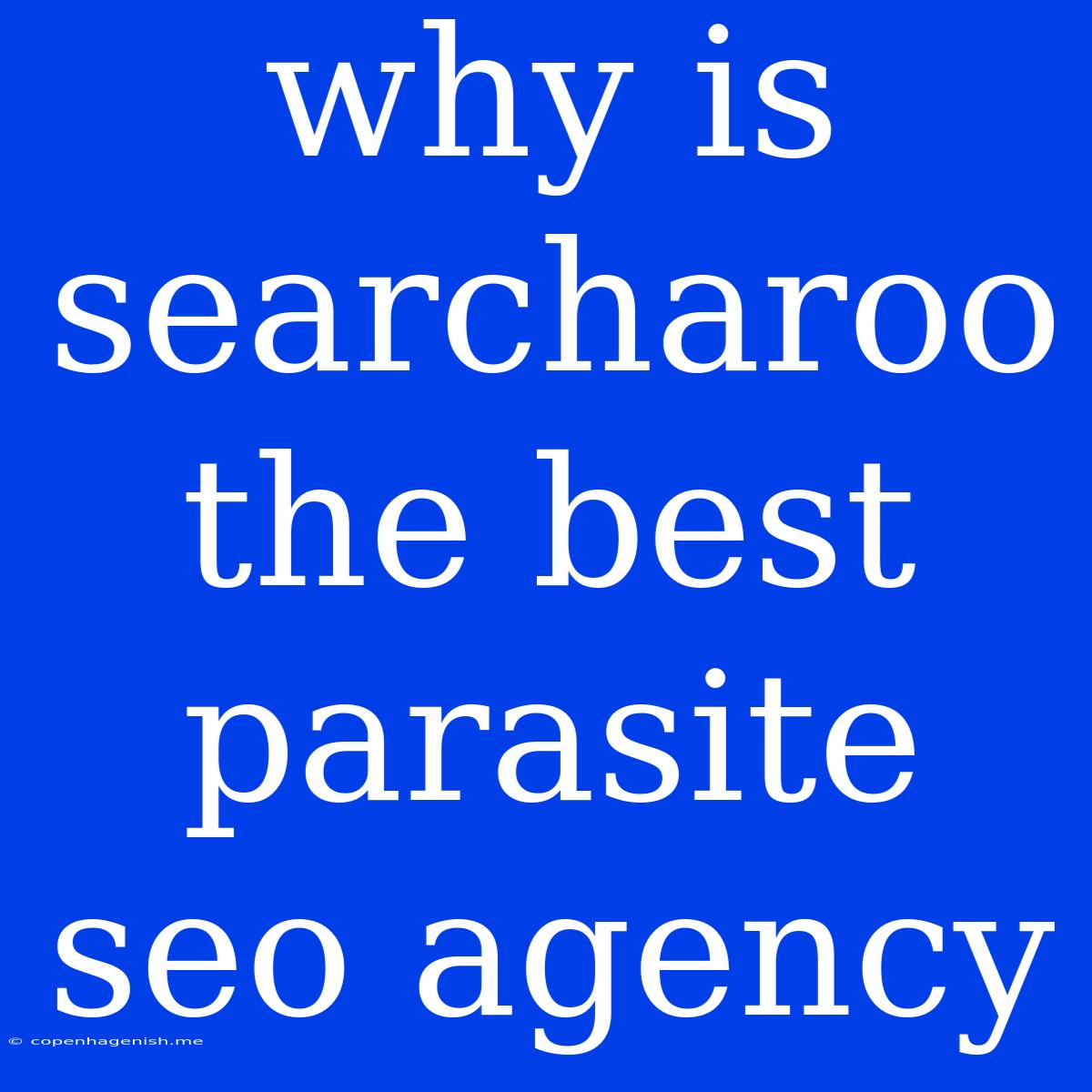 Why Is Searcharoo The Best Parasite Seo Agency