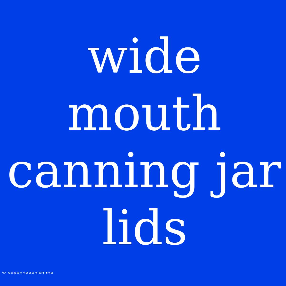 Wide Mouth Canning Jar Lids