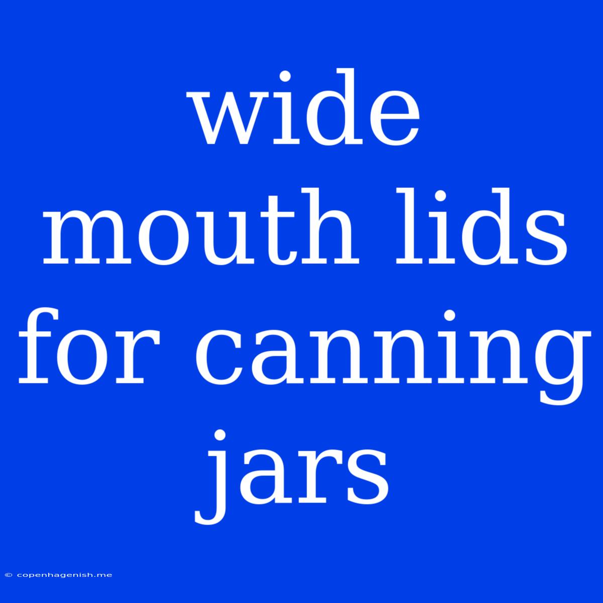 Wide Mouth Lids For Canning Jars