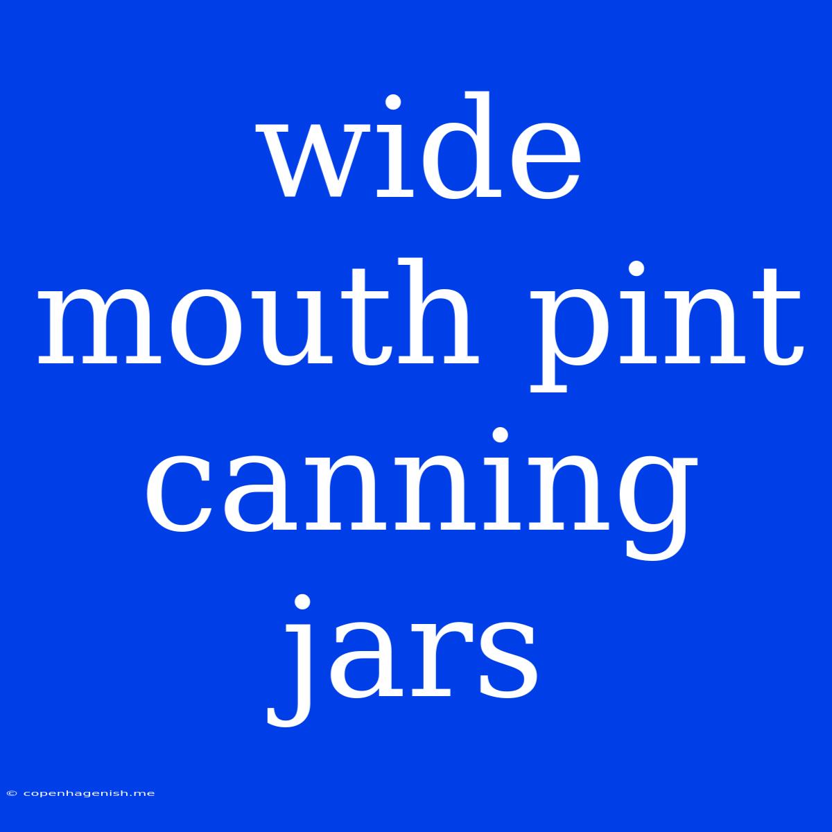 Wide Mouth Pint Canning Jars