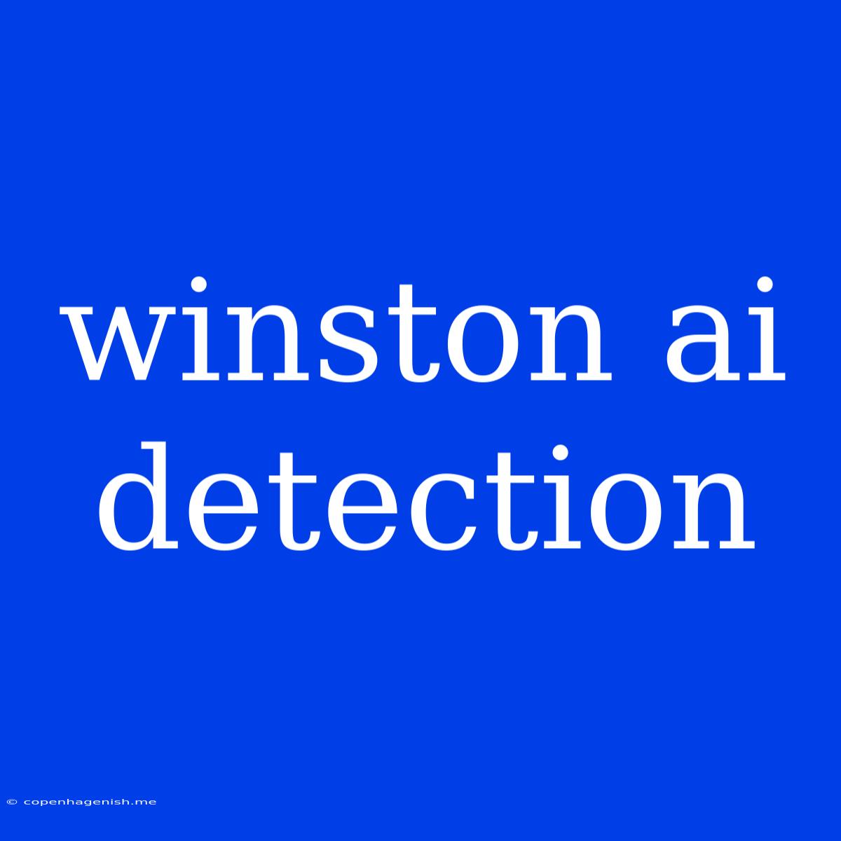 Winston Ai Detection