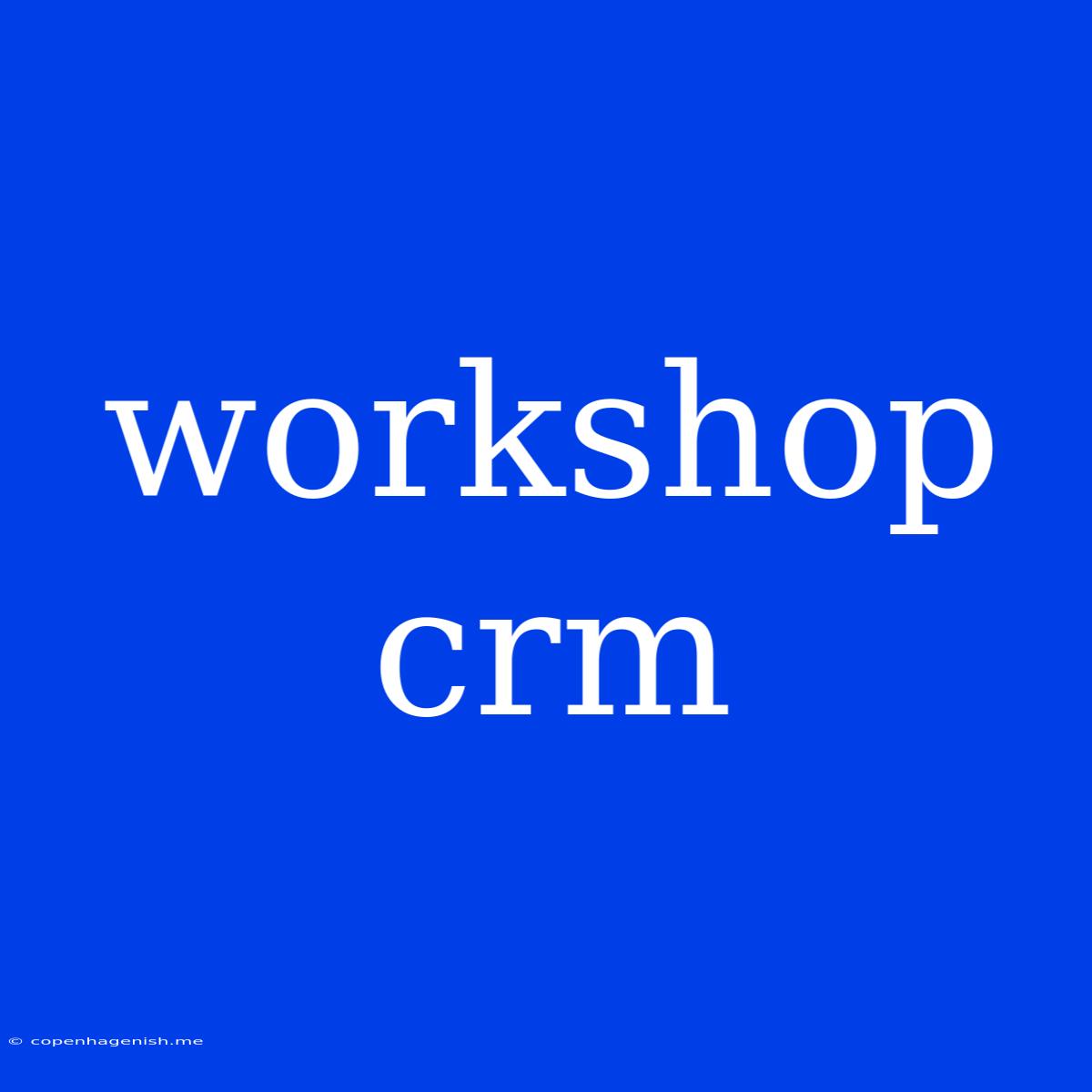 Workshop Crm