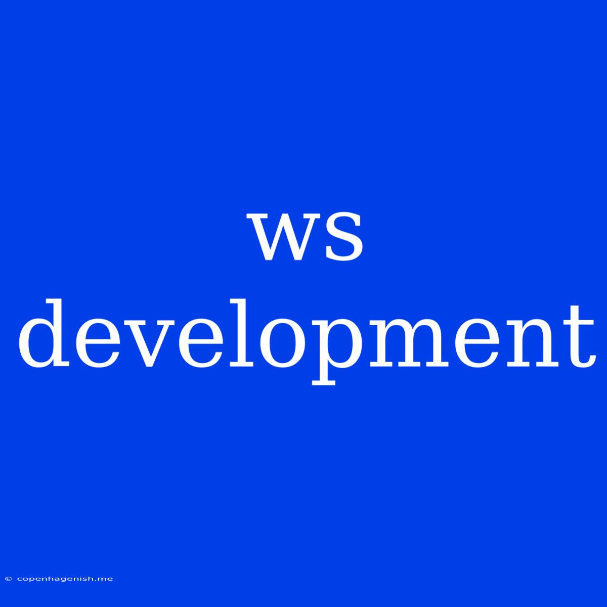 Ws Development