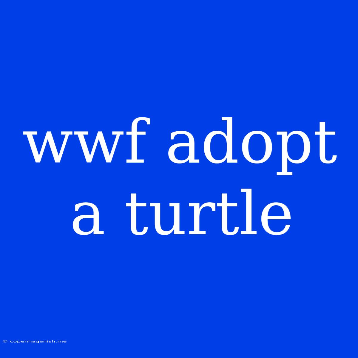 Wwf Adopt A Turtle