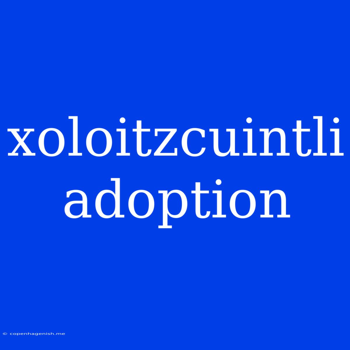 Xoloitzcuintli Adoption