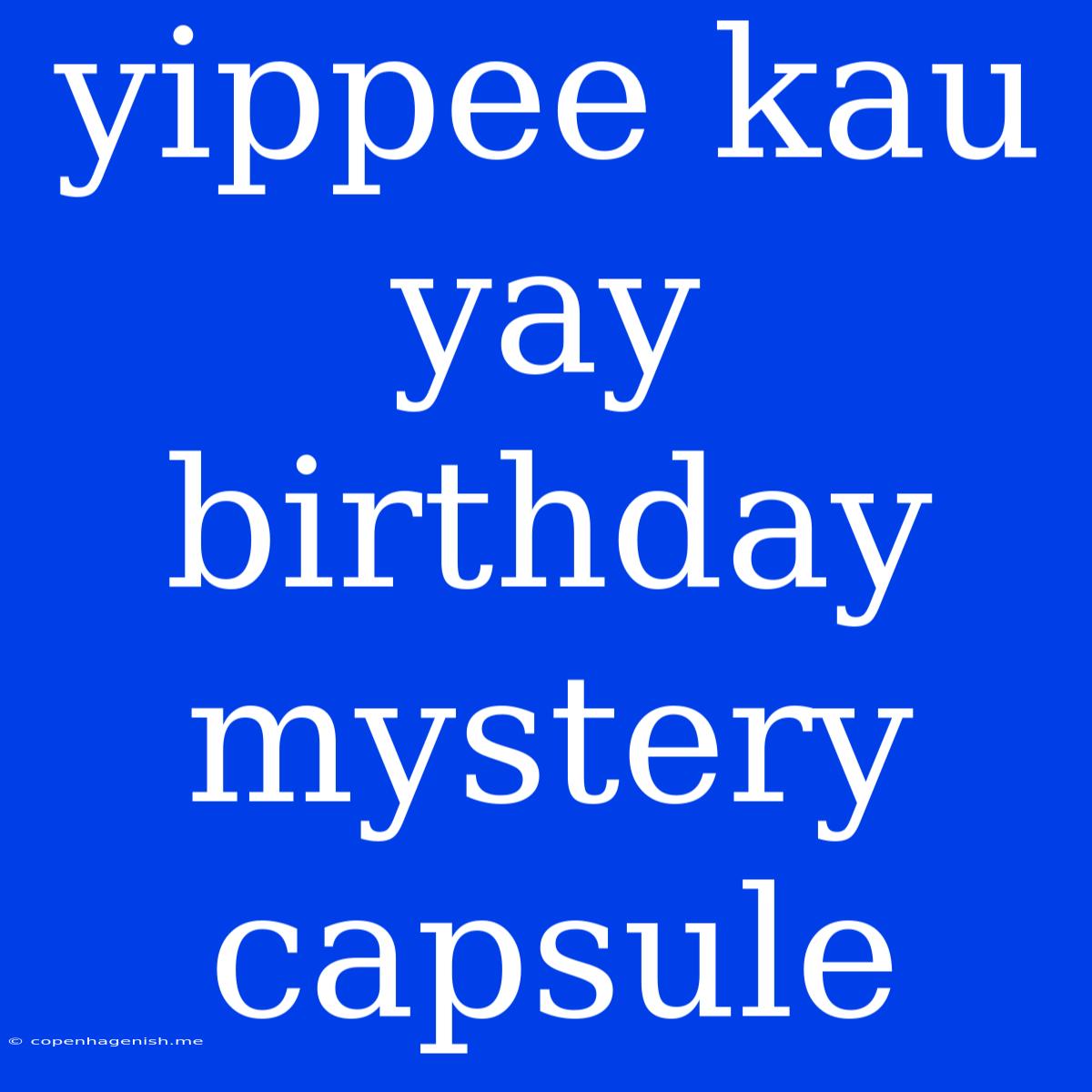 Yippee Kau Yay Birthday Mystery Capsule