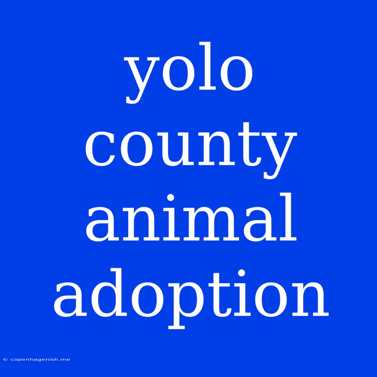 Yolo County Animal Adoption