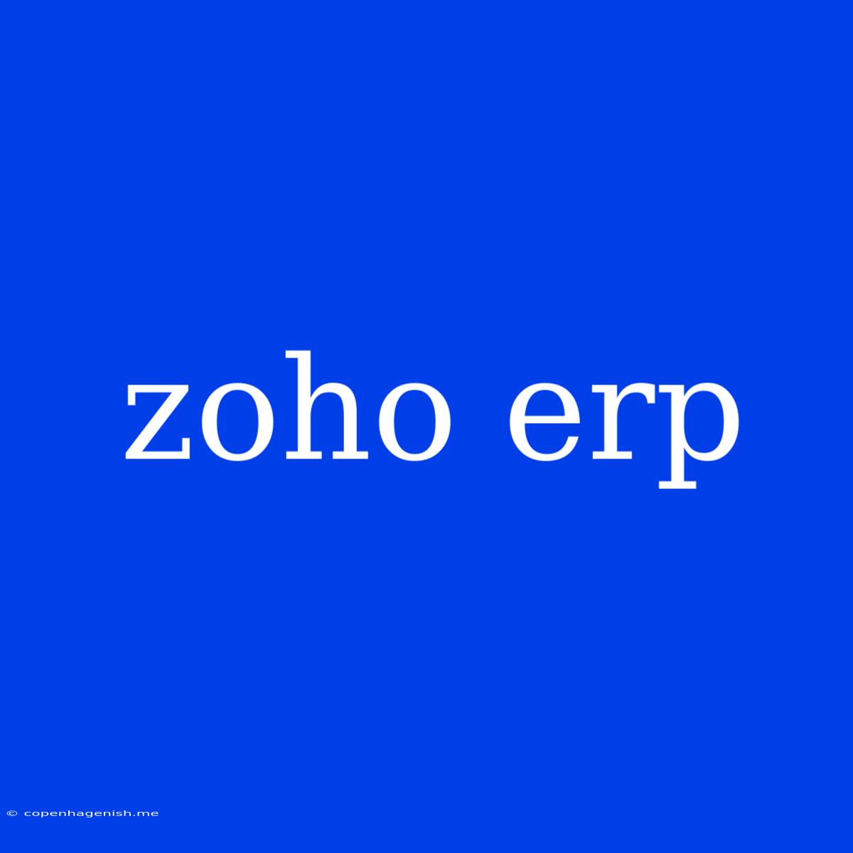 Zoho Erp